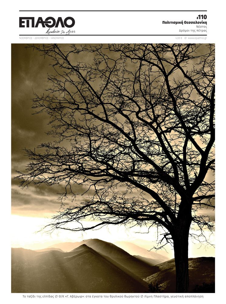 εξώφυλλο 110