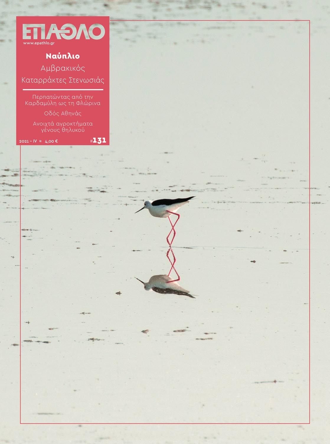 εξώφυλλο 131